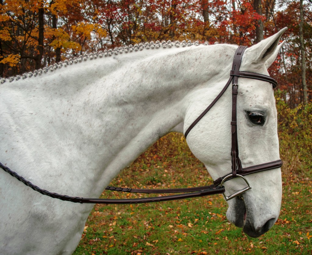 Black Oak Hunter Bridles
