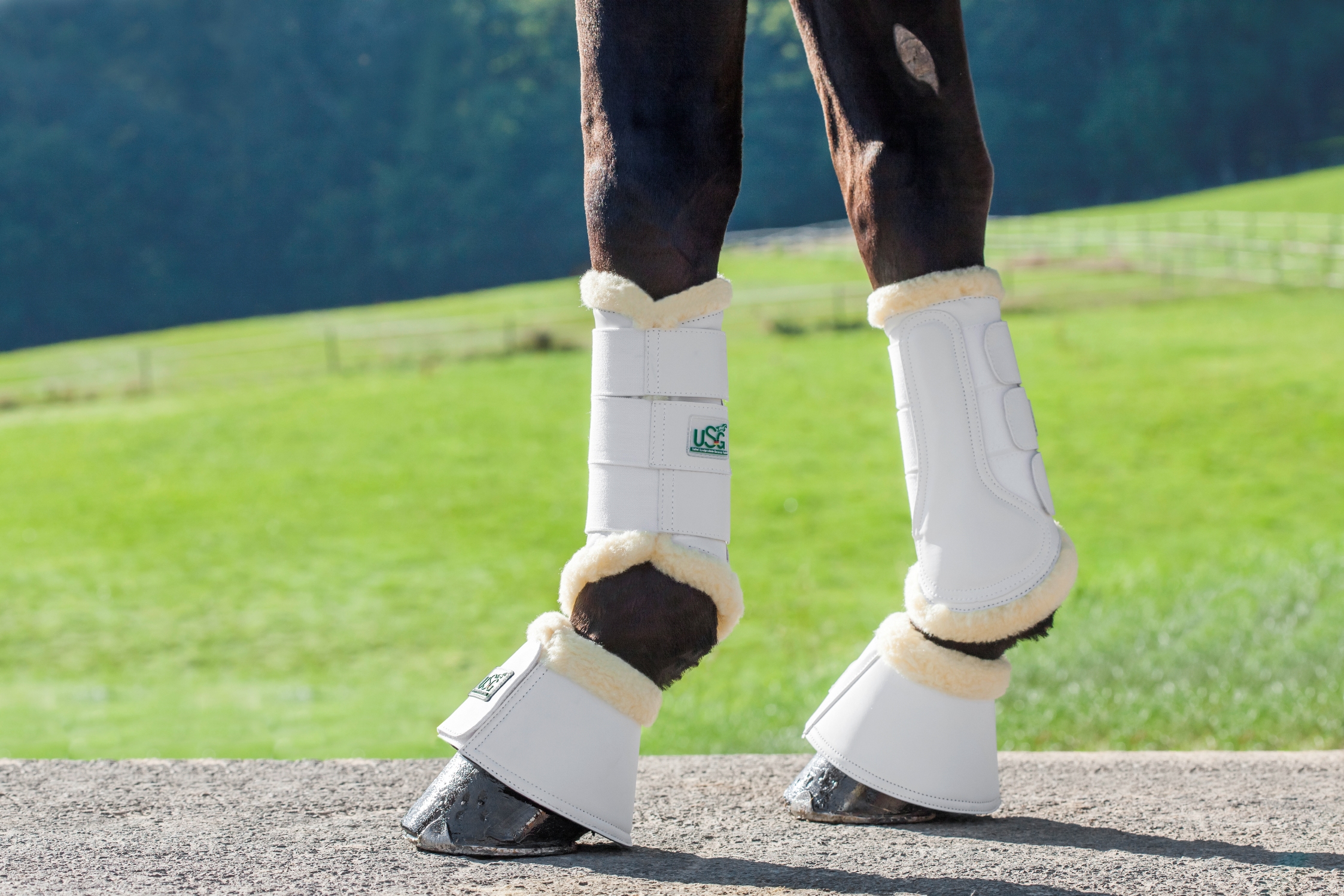 Leg Protection by USG 