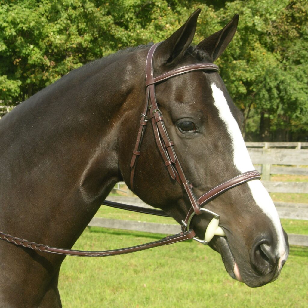 Sovereign Bridle