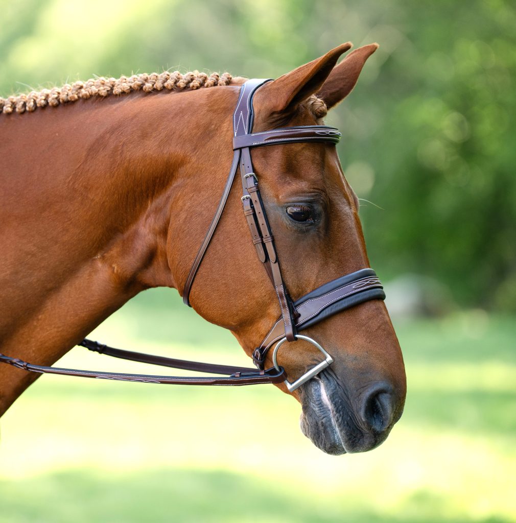 WILD SWANS FULL GRAIN BRIDLE / CLIPPER Ⅲ FULL GRAIN BRIDLE LEATHER | WILDSWANS(ワイルドスワンズ