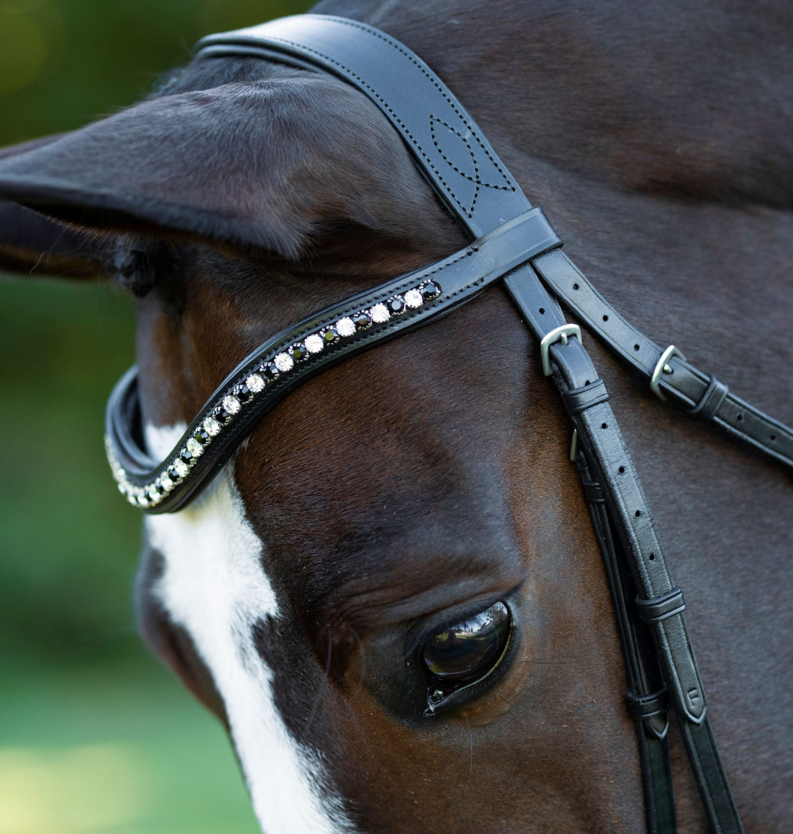 Dressage_Bridle_7