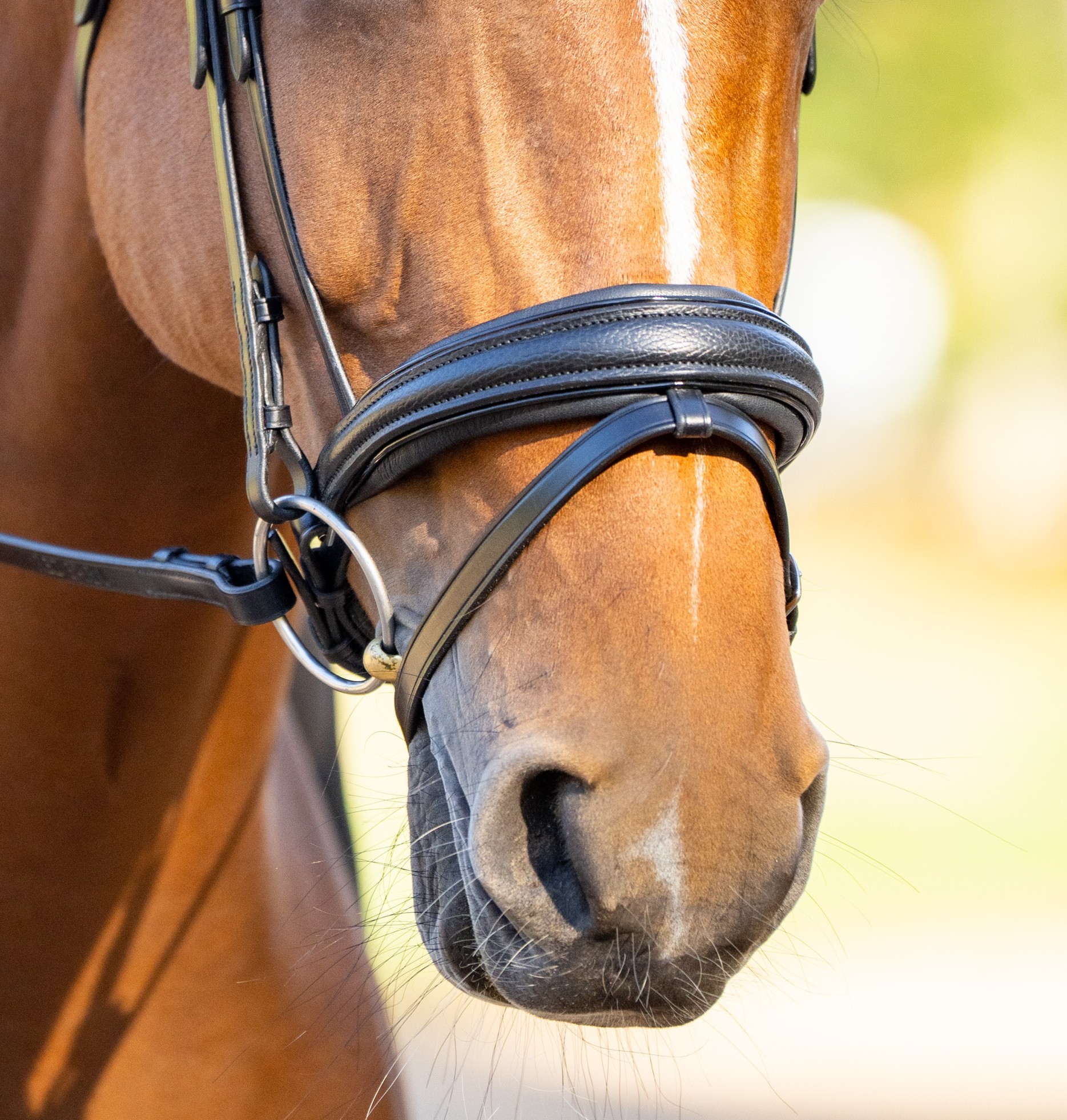 cropped NB DETAIL JW205188_FallCatalogue_2025